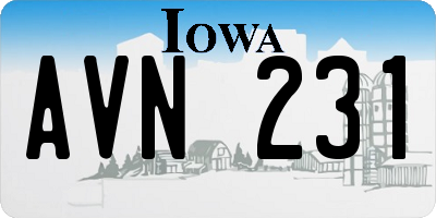 IA license plate AVN231