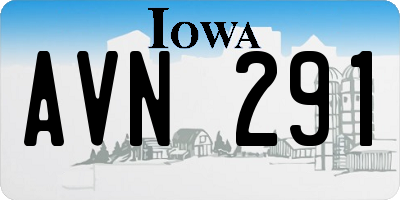 IA license plate AVN291