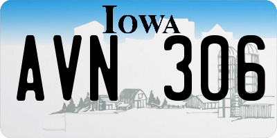 IA license plate AVN306