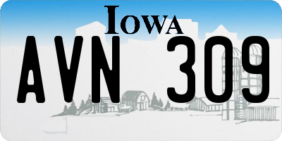IA license plate AVN309