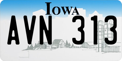 IA license plate AVN313