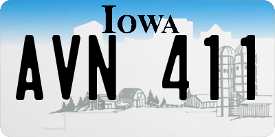 IA license plate AVN411
