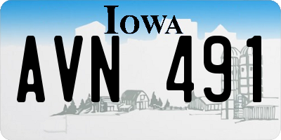 IA license plate AVN491