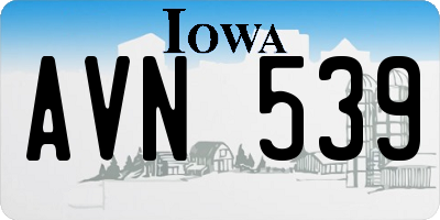 IA license plate AVN539