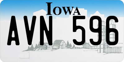 IA license plate AVN596