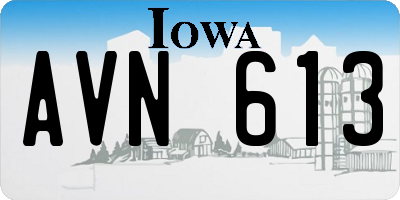 IA license plate AVN613