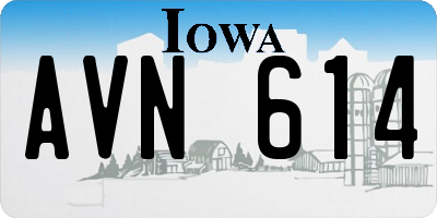 IA license plate AVN614