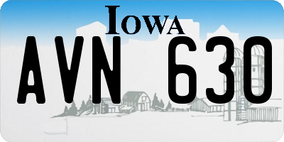 IA license plate AVN630