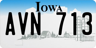 IA license plate AVN713