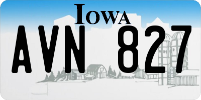 IA license plate AVN827