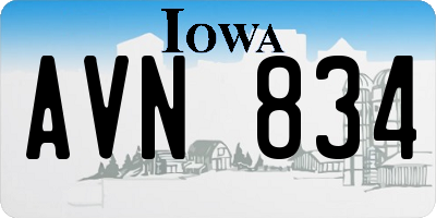 IA license plate AVN834