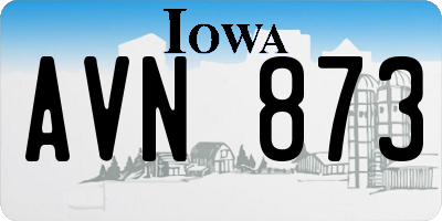 IA license plate AVN873