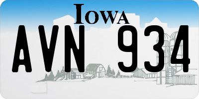 IA license plate AVN934