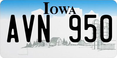 IA license plate AVN950