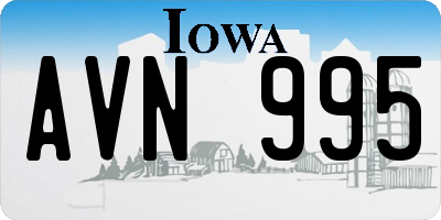 IA license plate AVN995