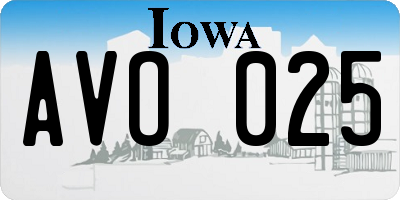 IA license plate AVO025