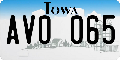IA license plate AVO065