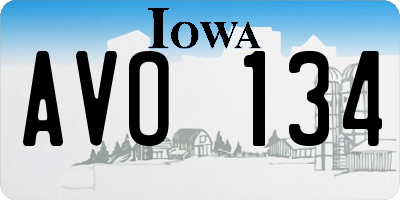 IA license plate AVO134