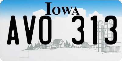 IA license plate AVO313
