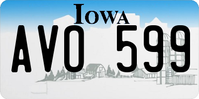 IA license plate AVO599