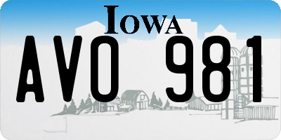 IA license plate AVO981