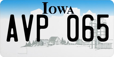 IA license plate AVP065