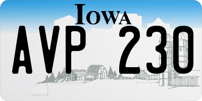 IA license plate AVP230
