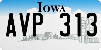 IA license plate AVP313