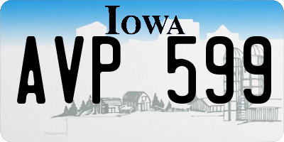 IA license plate AVP599