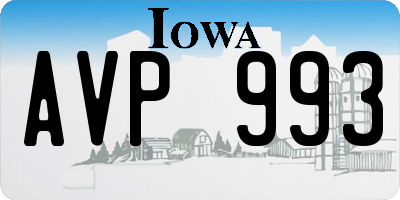IA license plate AVP993