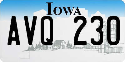 IA license plate AVQ230