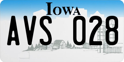 IA license plate AVS028