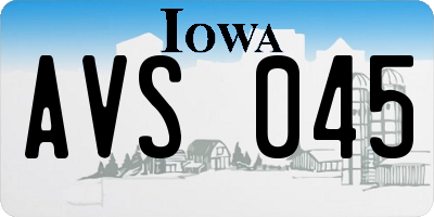 IA license plate AVS045