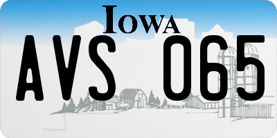 IA license plate AVS065