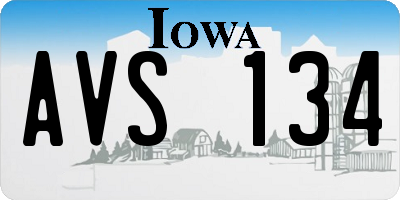 IA license plate AVS134