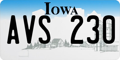 IA license plate AVS230