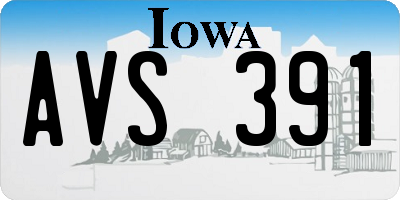 IA license plate AVS391