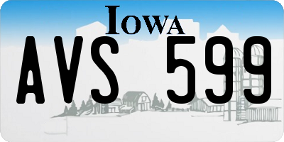 IA license plate AVS599