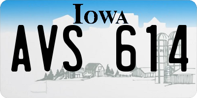 IA license plate AVS614