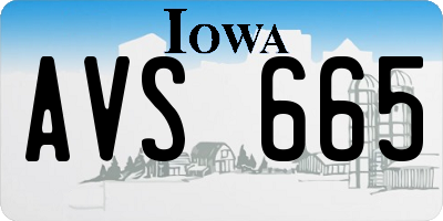 IA license plate AVS665