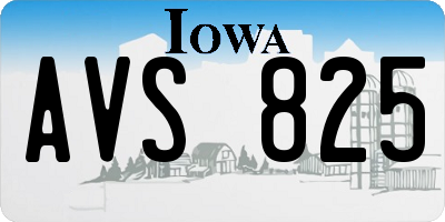 IA license plate AVS825
