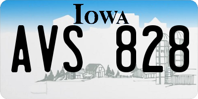 IA license plate AVS828