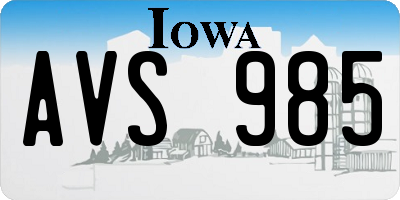 IA license plate AVS985