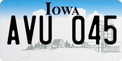 IA license plate AVU045