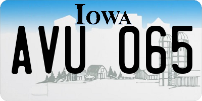 IA license plate AVU065