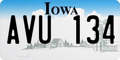 IA license plate AVU134