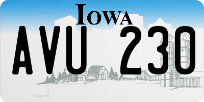 IA license plate AVU230