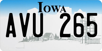IA license plate AVU265