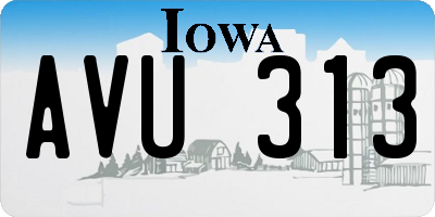 IA license plate AVU313
