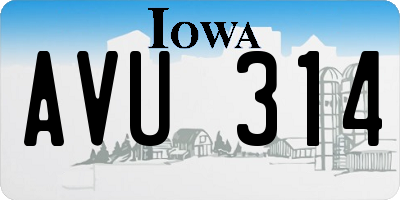 IA license plate AVU314